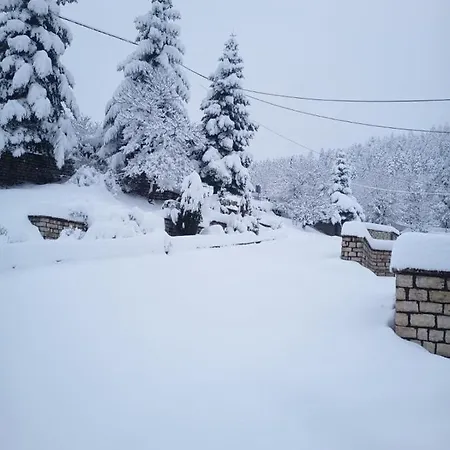 η βίλα δίπλα στο δάσος * Vlataneoi